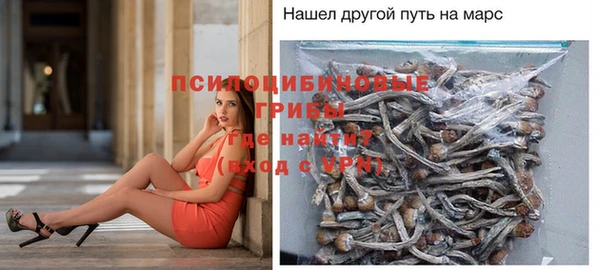 метадон Заводоуковск