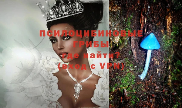 метадон Заводоуковск