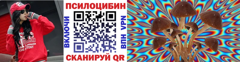 Купить закладки  Лахденпохья  Псилоцибиновые грибы Psilocybe 