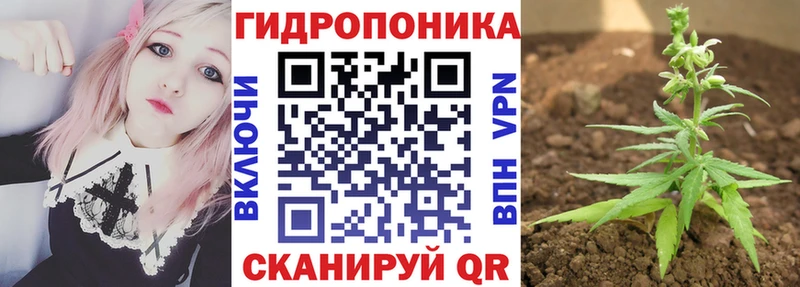 Купить закладки  Лахденпохья  Бошки Шишки THC 21% 